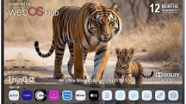 LIMEBERRY EOLED55 TV