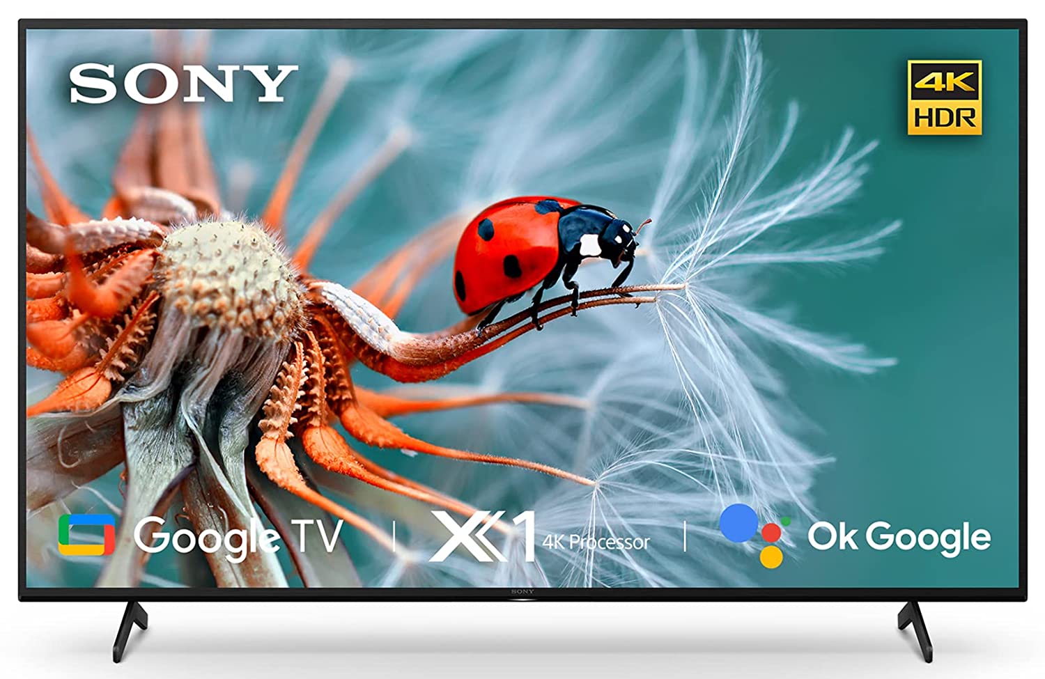 Sony KD-65X74K TV